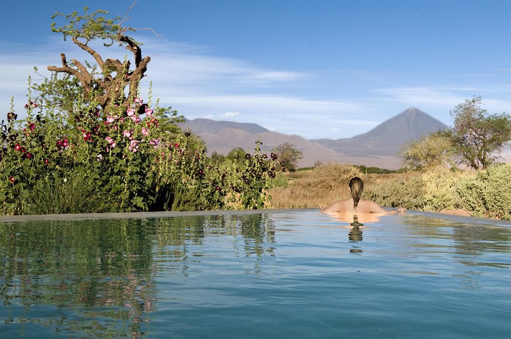 Tierra Atacama Hotel&spa